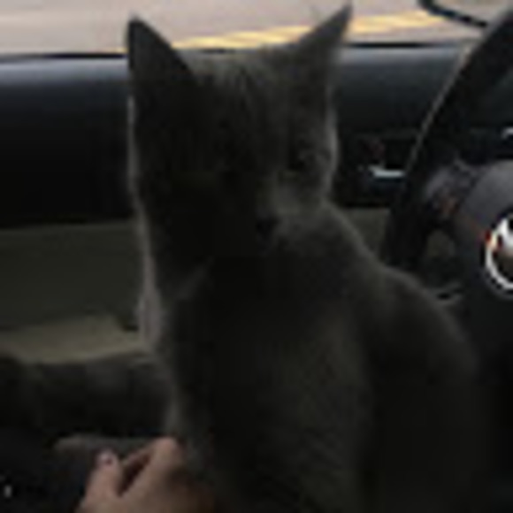 Meet your Posher, Jennifer - Picture 1 of 1